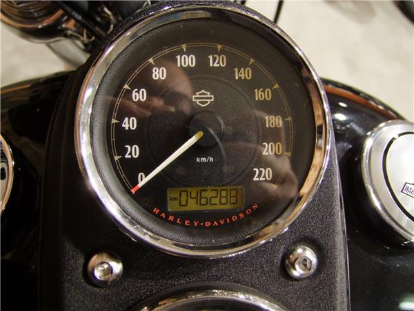 2015 harley-davidson FXDL 1690 Dyna Low Rider