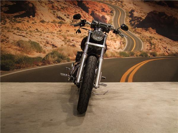 2015 harley-davidson FXDL 1690 Dyna Low Rider