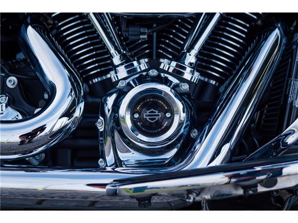 2022 Harley-Davidson Fat Boy 114