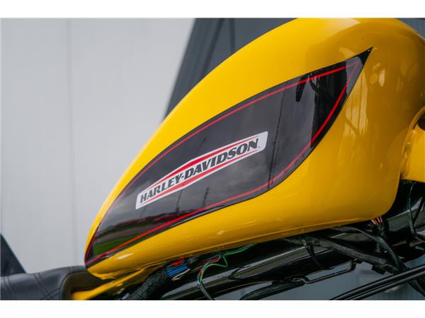 2014 Harley-Davidson 1200 Custom