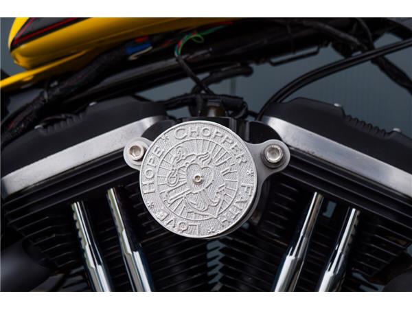 2014 Harley-Davidson 1200 Custom