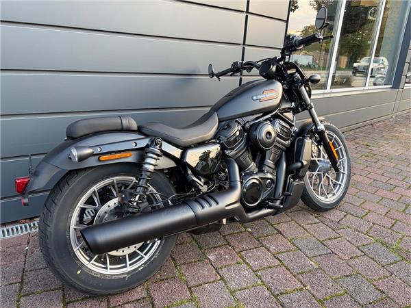 NIGHTSTER SPECIAL RH975S 2025 Sportster