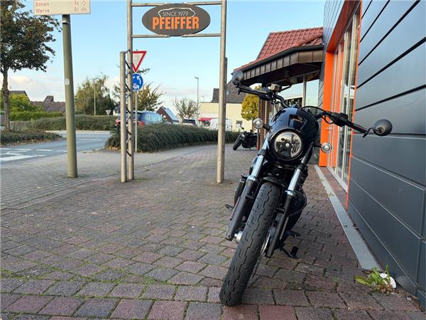 NIGHTSTER SPECIAL RH975S 2025 Sportster