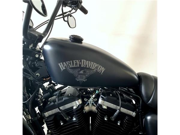 HARLEY-DAVIDSON XL 883 N