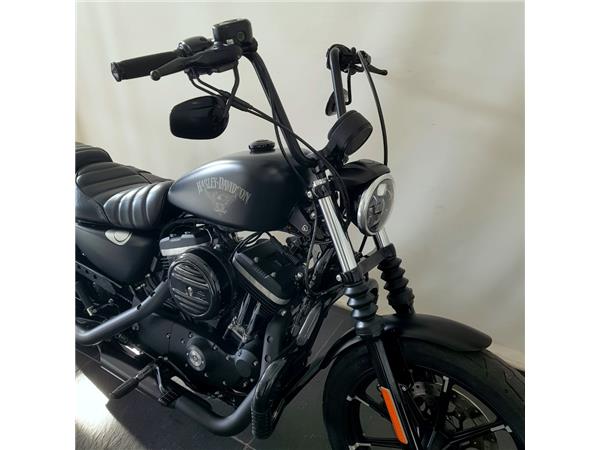 HARLEY-DAVIDSON XL 883 N