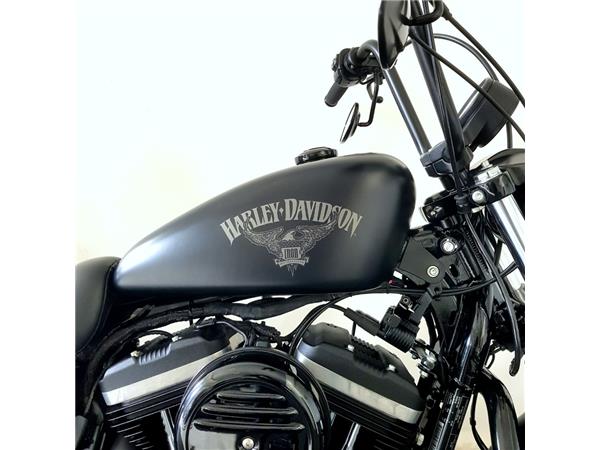 HARLEY-DAVIDSON XL 883 N