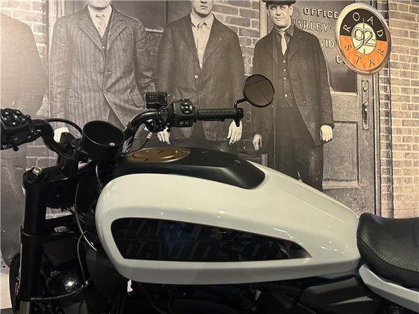 2021 HARLEY-DAVIDSON SPORTSTER 1250