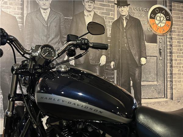 2020 HARLEY-DAVIDSON CUSTOM