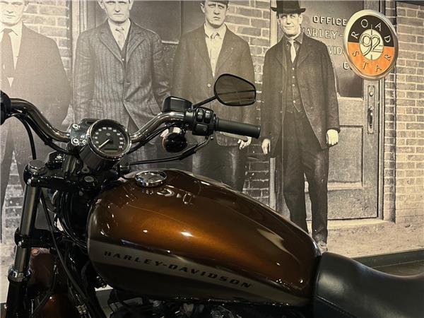 2019 HARLEY-DAVIDSON CUSTOM