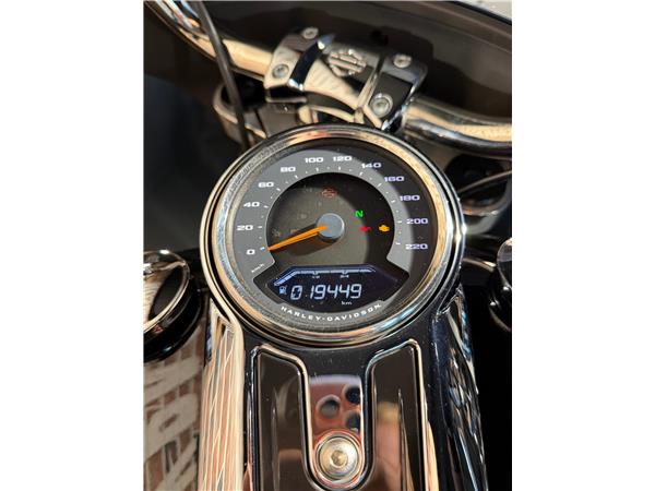 2019 harley-davidson FLSB Sport Glide 107 ABS