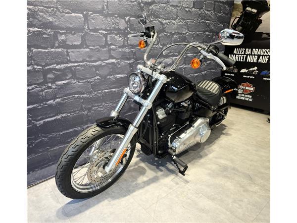 Softail Standard 