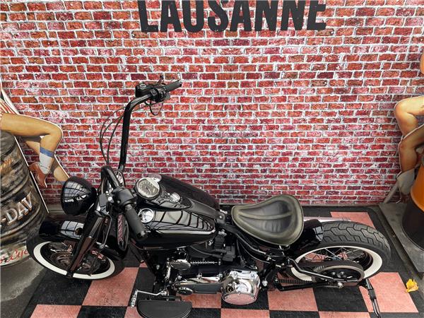 2013 harley-davidson FLS Softail Slim ABS