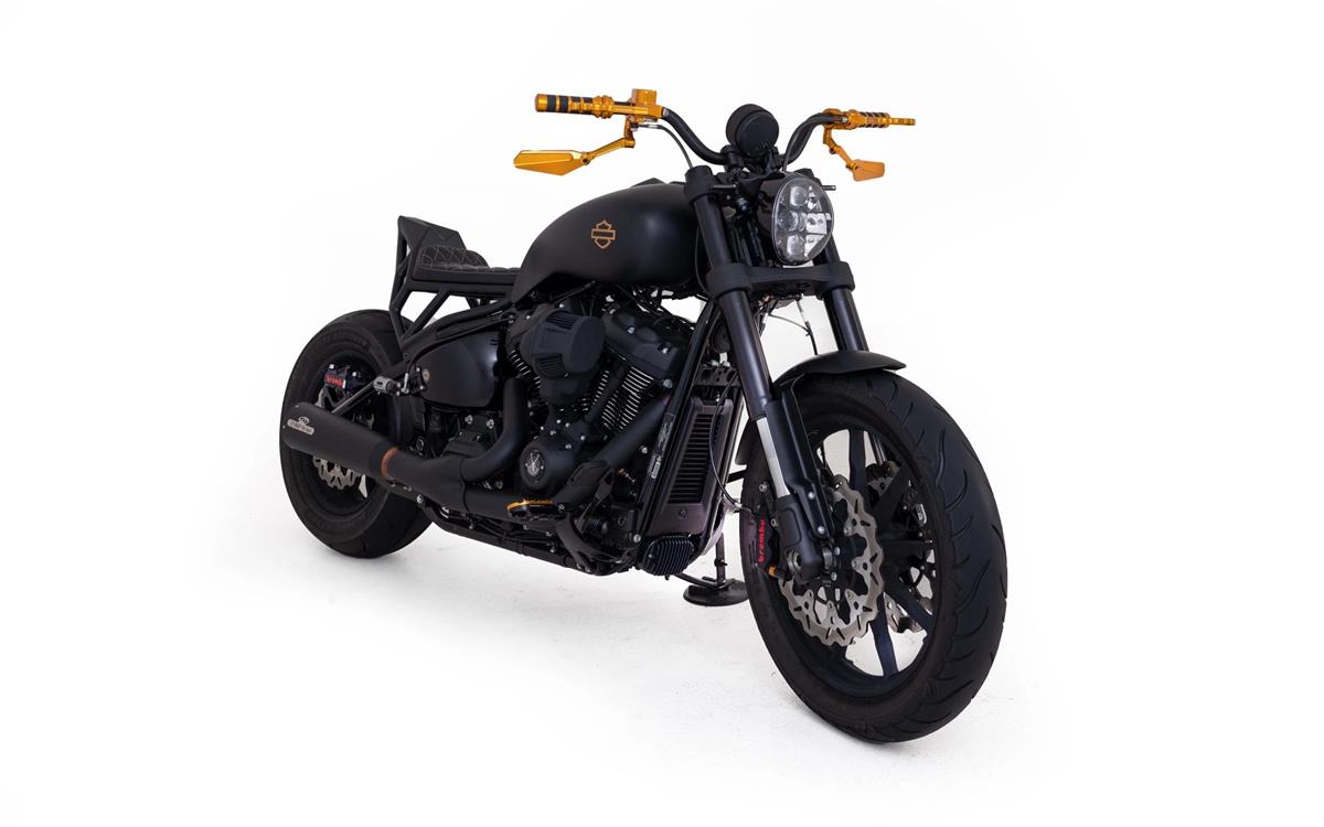 2024 harley-davidson FXLRS Low Rider S 117