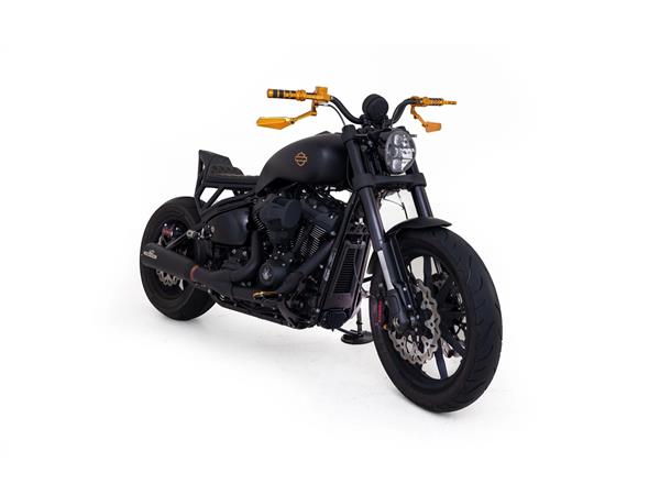 2024 harley-davidson FXLRS Low Rider S 117