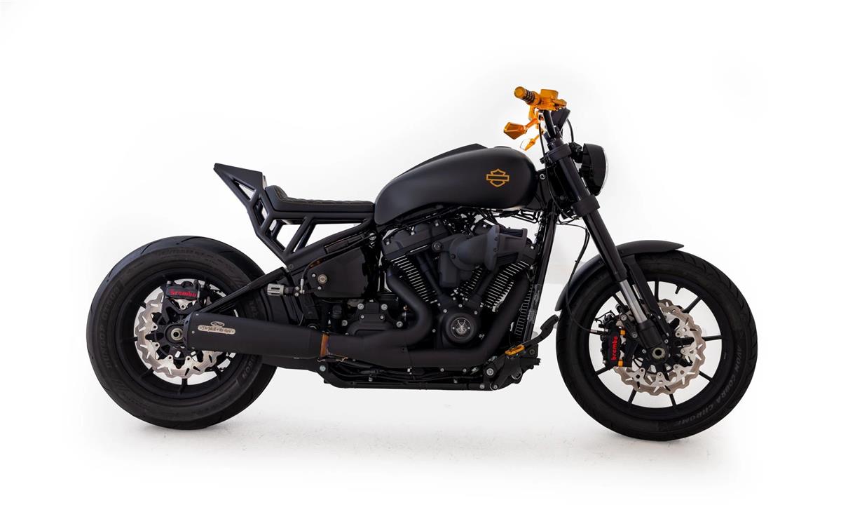 2024 harley-davidson FXLRS Low Rider S 117