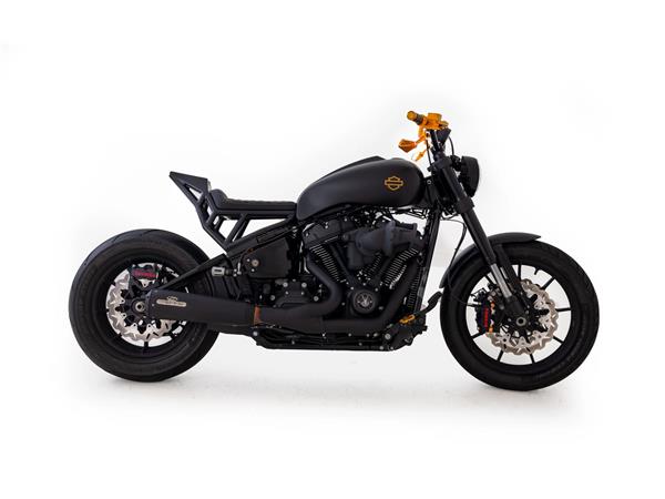 2024 harley-davidson FXLRS Low Rider S 117