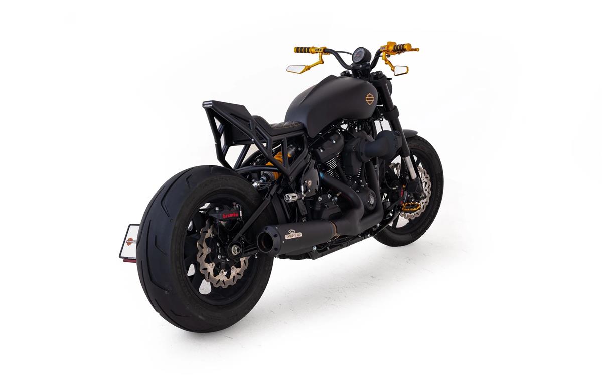 2024 harley-davidson FXLRS Low Rider S 117