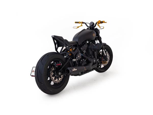 2024 harley-davidson FXLRS Low Rider S 117