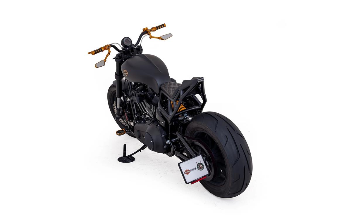 2024 harley-davidson FXLRS Low Rider S 117