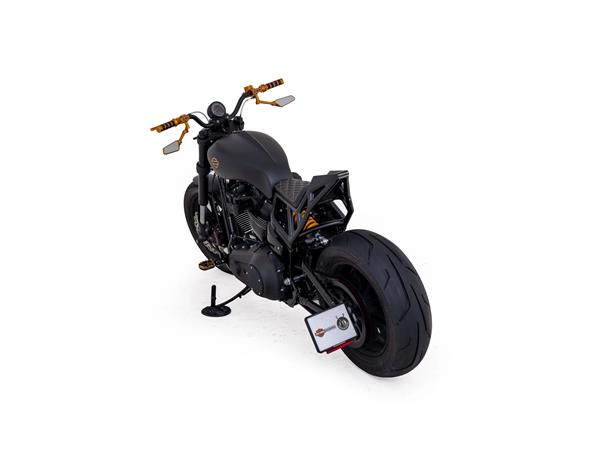 2024 harley-davidson FXLRS Low Rider S 117