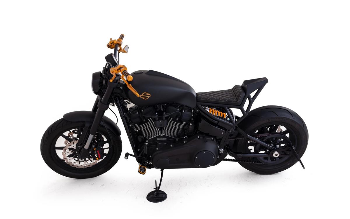 2024 harley-davidson FXLRS Low Rider S 117