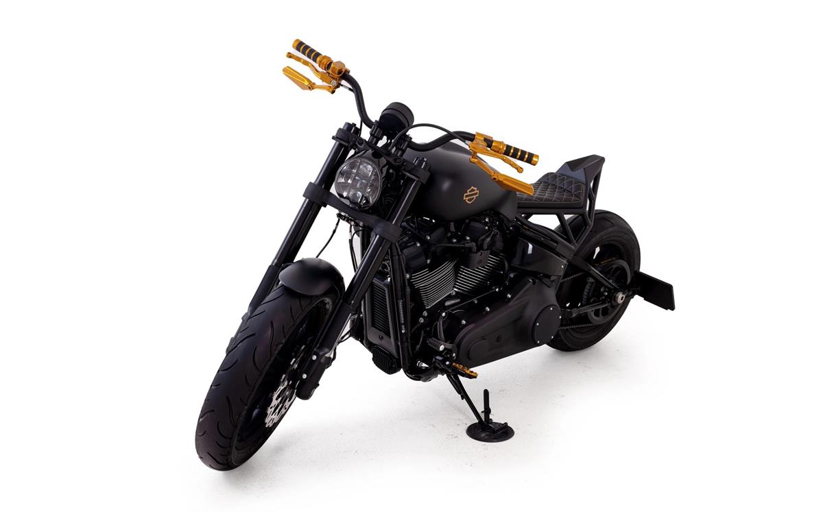 2024 harley-davidson FXLRS Low Rider S 117