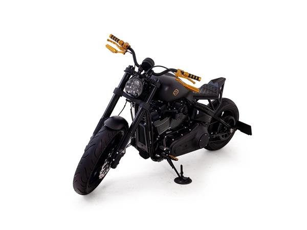 2024 harley-davidson FXLRS Low Rider S 117