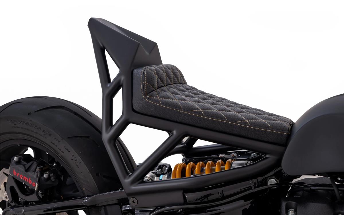 2024 harley-davidson FXLRS Low Rider S 117