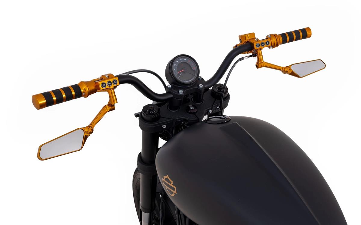 2024 harley-davidson FXLRS Low Rider S 117