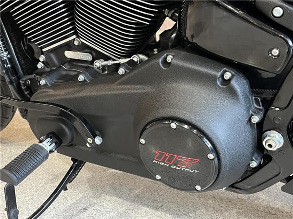 2025 Harley-Davidson Softail