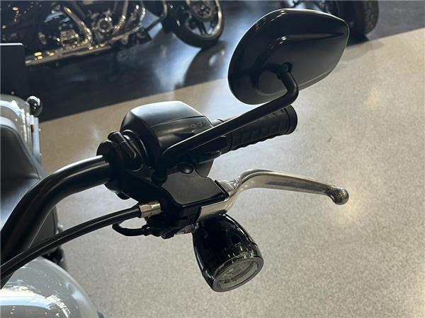 2025 Harley-Davidson Softail