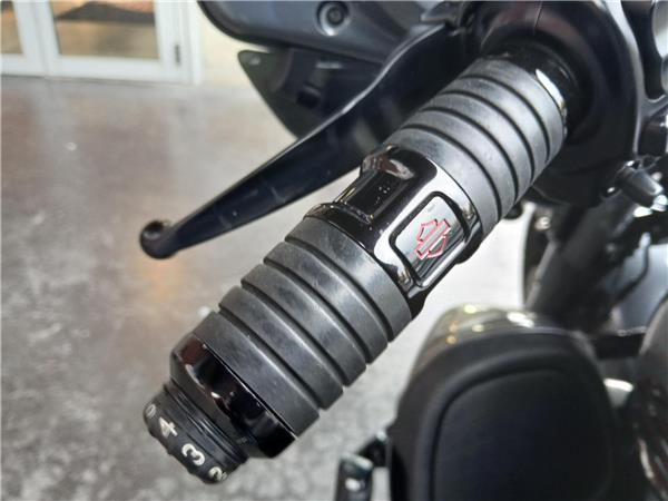 2019 HARLEY-DAVIDSON ELECTRA