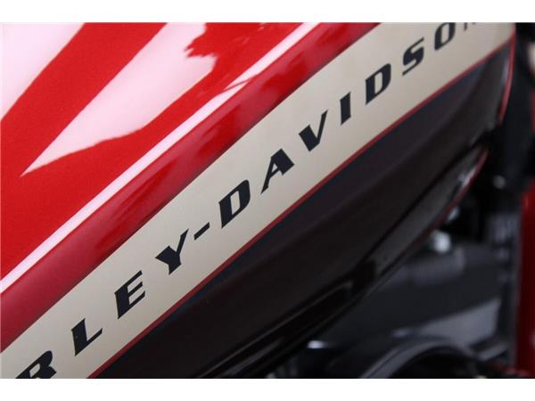 2019 Harley-Davidson 1200 Custom