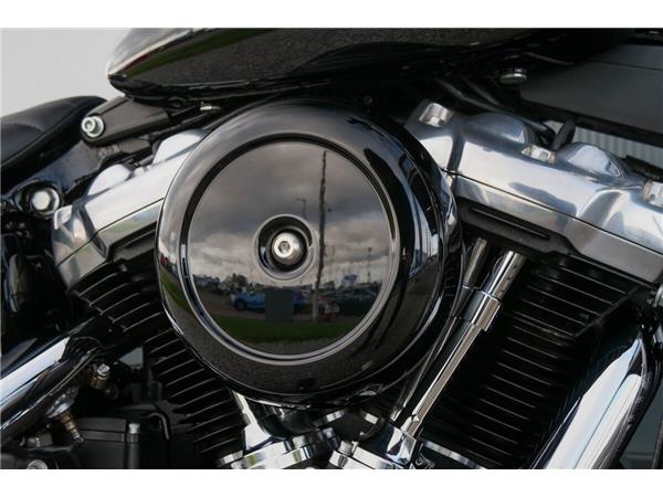 2020 Harley-Davidson Softail Standard