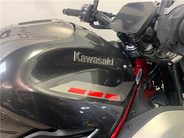 2025 KAWASAKI Z 900
