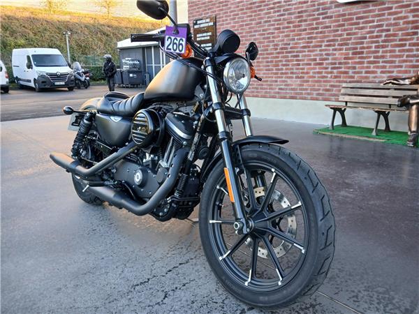 2019 HARLEY-DAVIDSON IRON