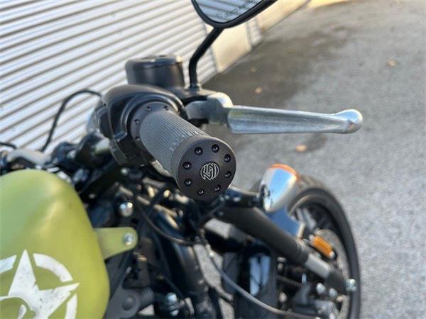 2016 Harley-Davidson Sportster XL 1200CX Roadster