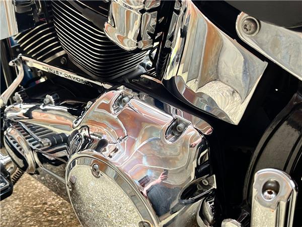 2016 Harley-Davidson Softail