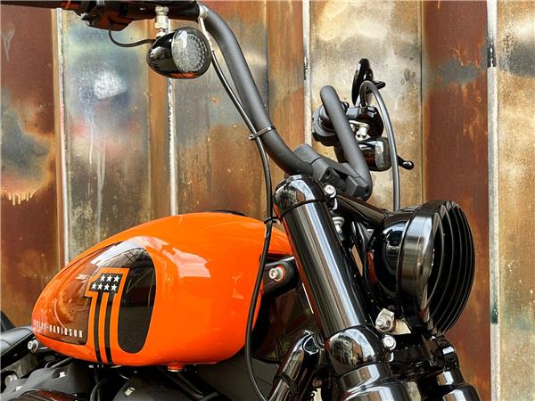 2021 Harley-Davidson Softail