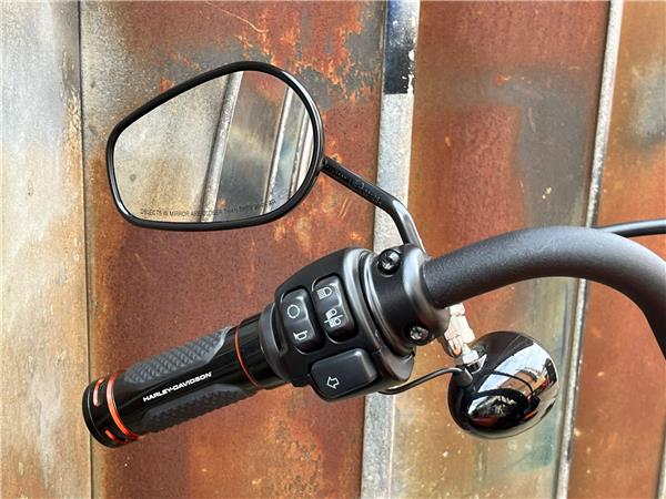 2021 Harley-Davidson Softail