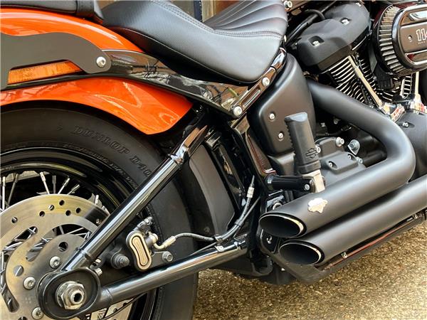 2021 Harley-Davidson Softail
