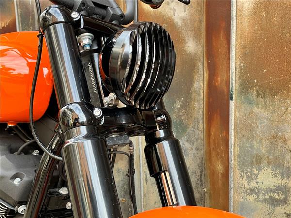 2021 Harley-Davidson Softail