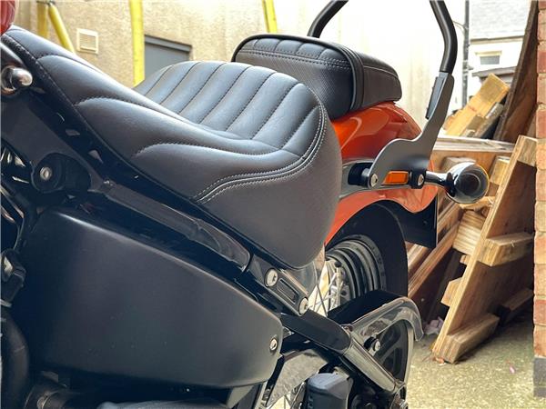 2021 Harley-Davidson Softail