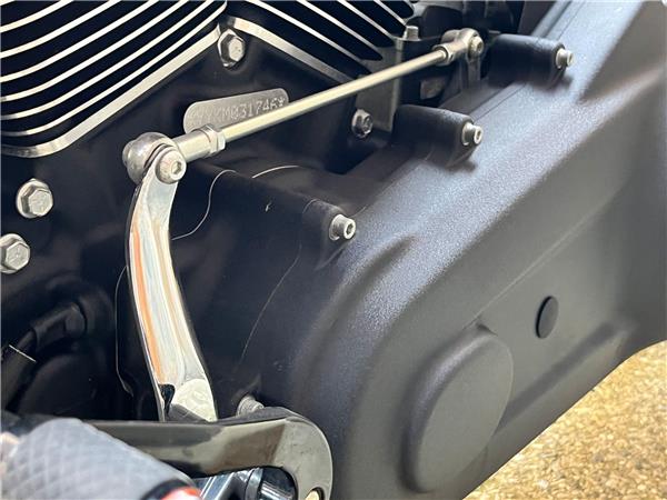 2021 Harley-Davidson Softail