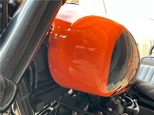 2021 Harley-Davidson Softail