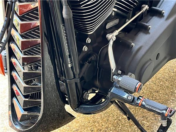 2021 Harley-Davidson Softail