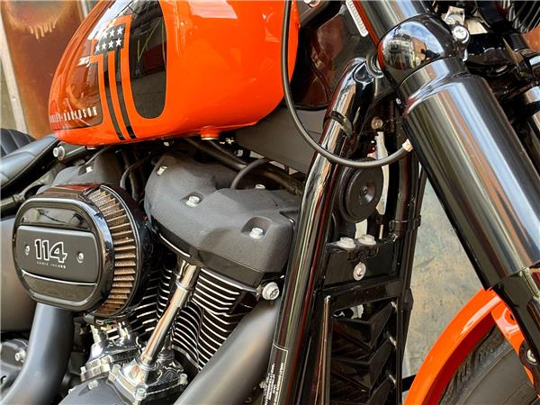 2021 Harley-Davidson Softail