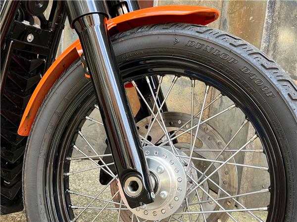 2021 Harley-Davidson Softail