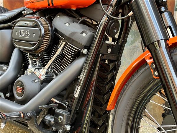 2021 Harley-Davidson Softail