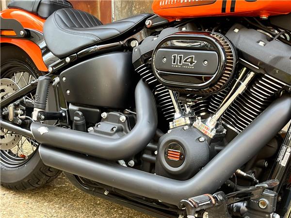 2021 Harley-Davidson Softail